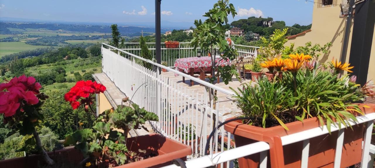 Stimigliano Casa In The Clouds B&B 외부 사진